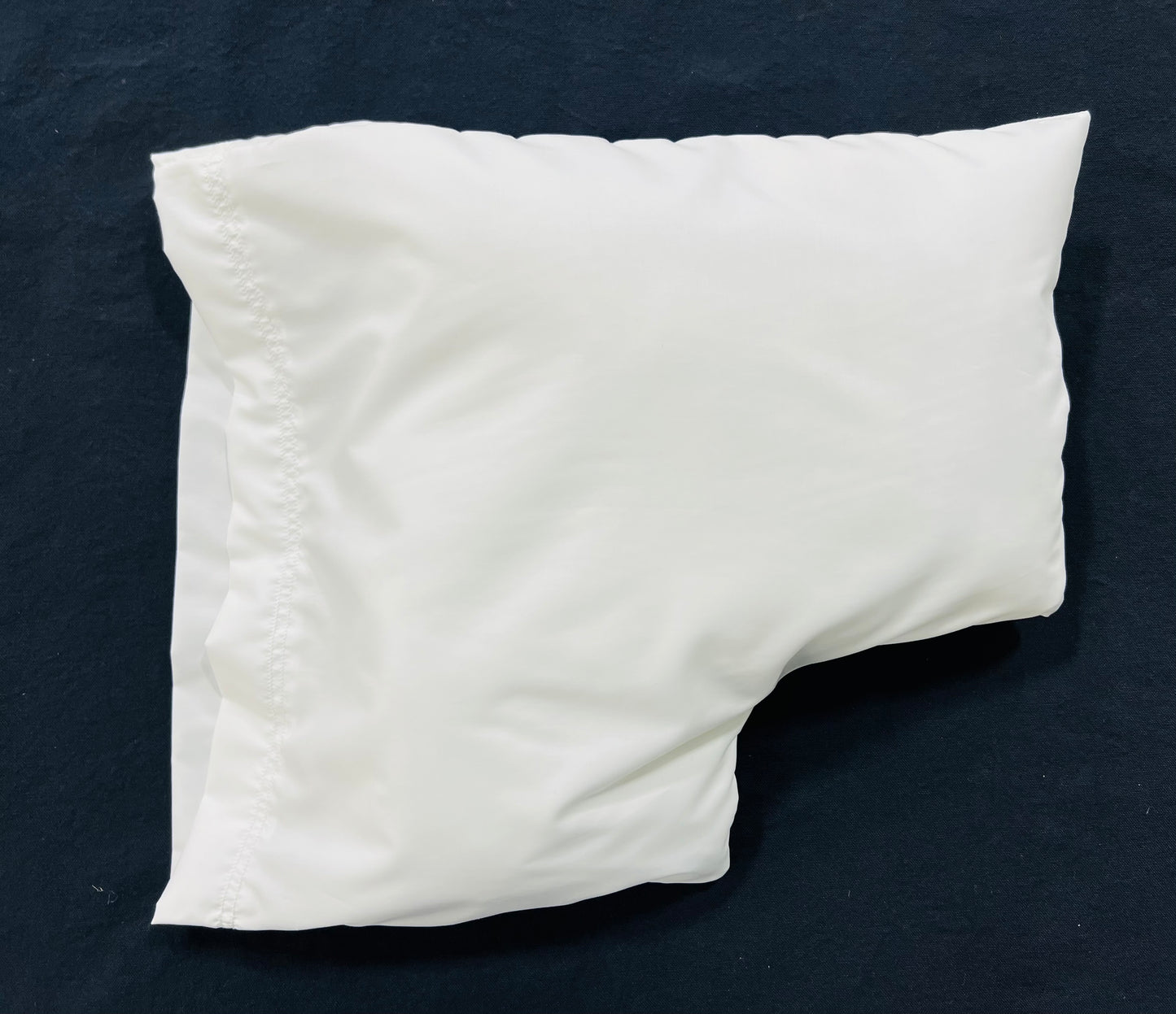 Cleopatra's Couch Companion