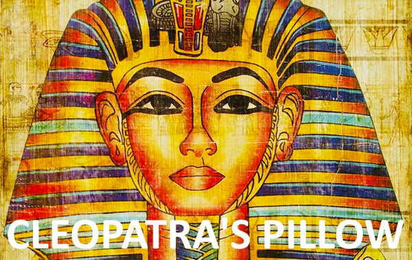 Cleopatra's Pillow LLC
