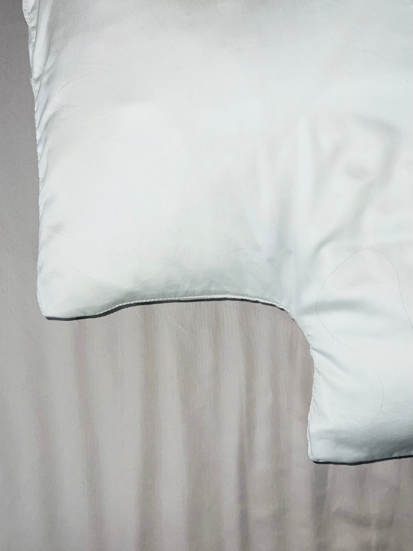 Cleopatra's Pillow with Pillowcase.