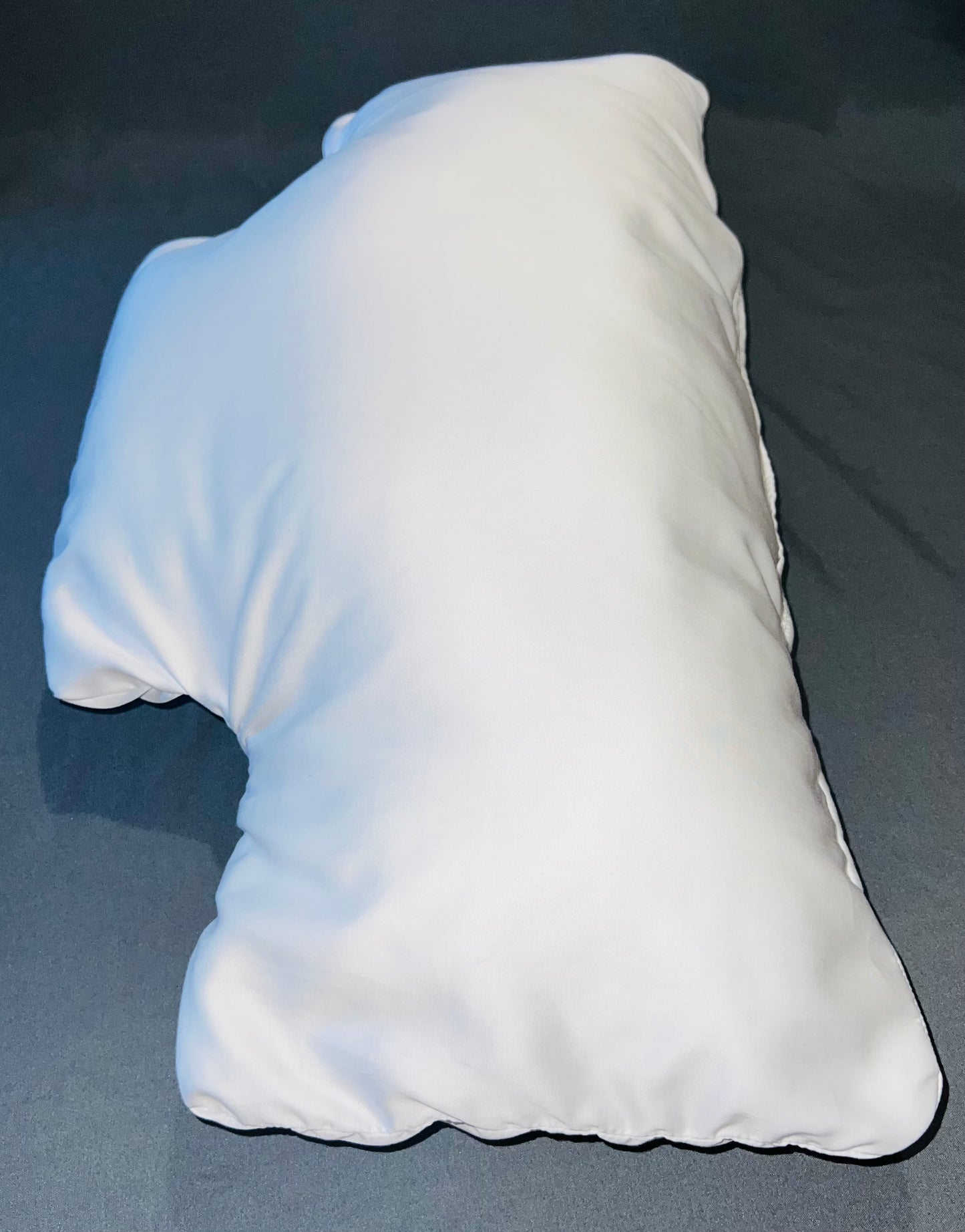 Cleopatra's Pillow with Pillowcase.