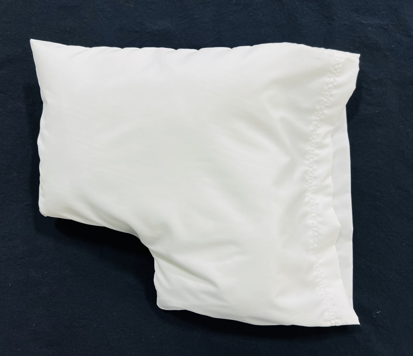 Cleopatra's Couch Companion